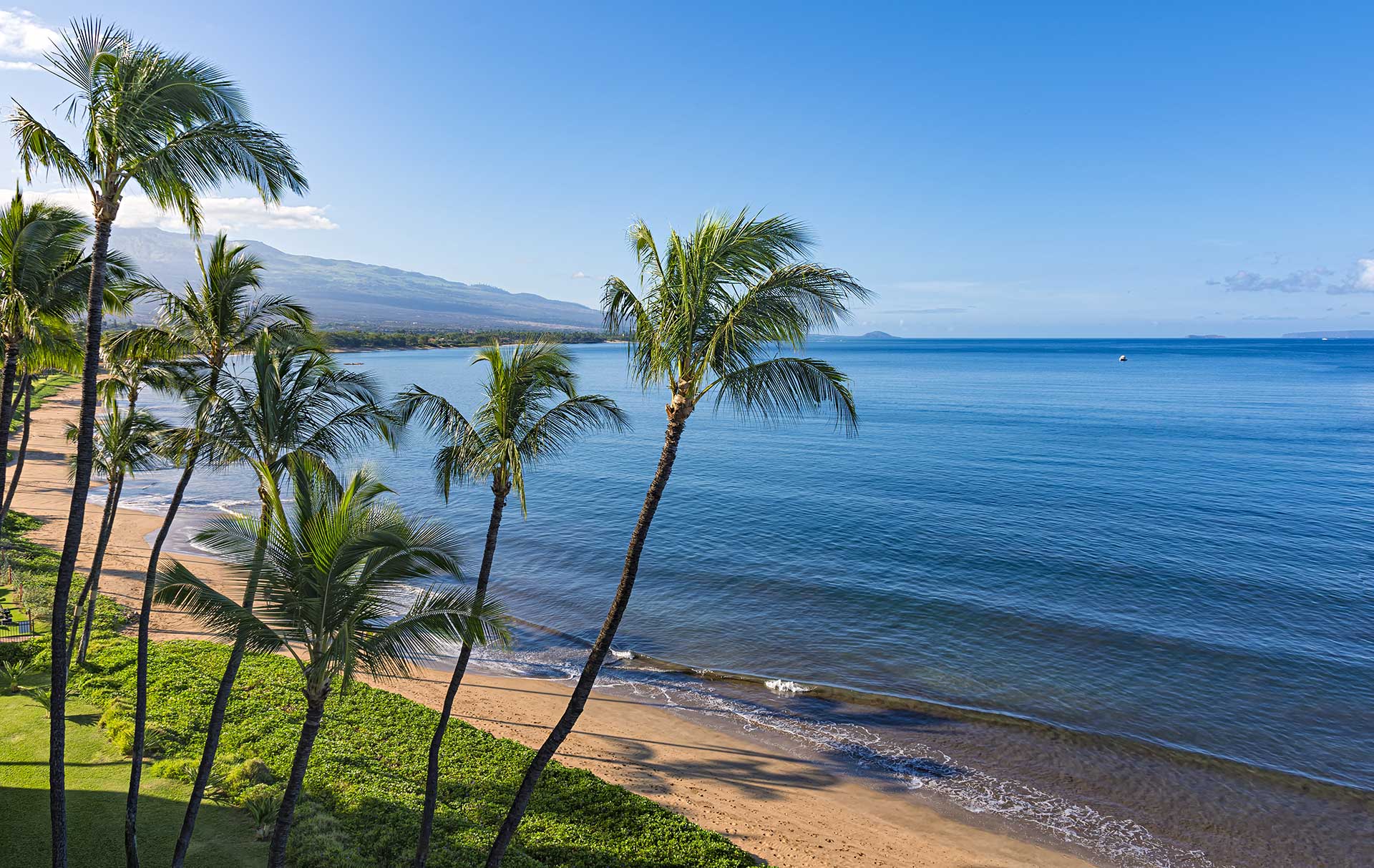 Maui Palms Realty